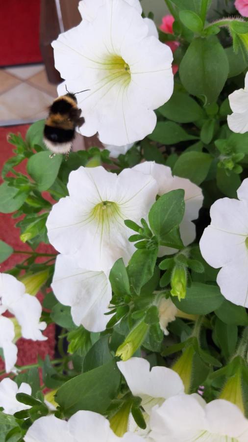 Landhaus Degen Bischofswiesen Bagian luar foto
